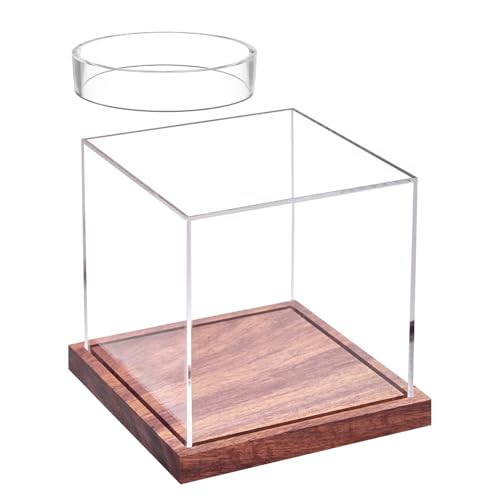 Baseball -Box -Anzeigekoffer - Premium -Display -Halter, starker schützender Acrylwürfel, abnehmbarer Deckel mit kristallklarem Finish | Zuverlässiges stapelbares Design für die Sportersammlung Home O Baseball -Box -Anzeigekoffer - Premium -Display -Halter, starker schützender Acrylwürfel, abnehmbarer Deckel mit kristallklarem Finish | Zuverlässiges stapelbares Design für die Sportersammlung Home O von Nevalerra