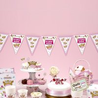 Kleine Eule Wimpelkette in Rosa für Babyparty zur Mädchen-Geburt 3,5m Kleine Eule Wimpelkette in Rosa für Babyparty zur Mädchen-Geburt 3,5m von Neviti