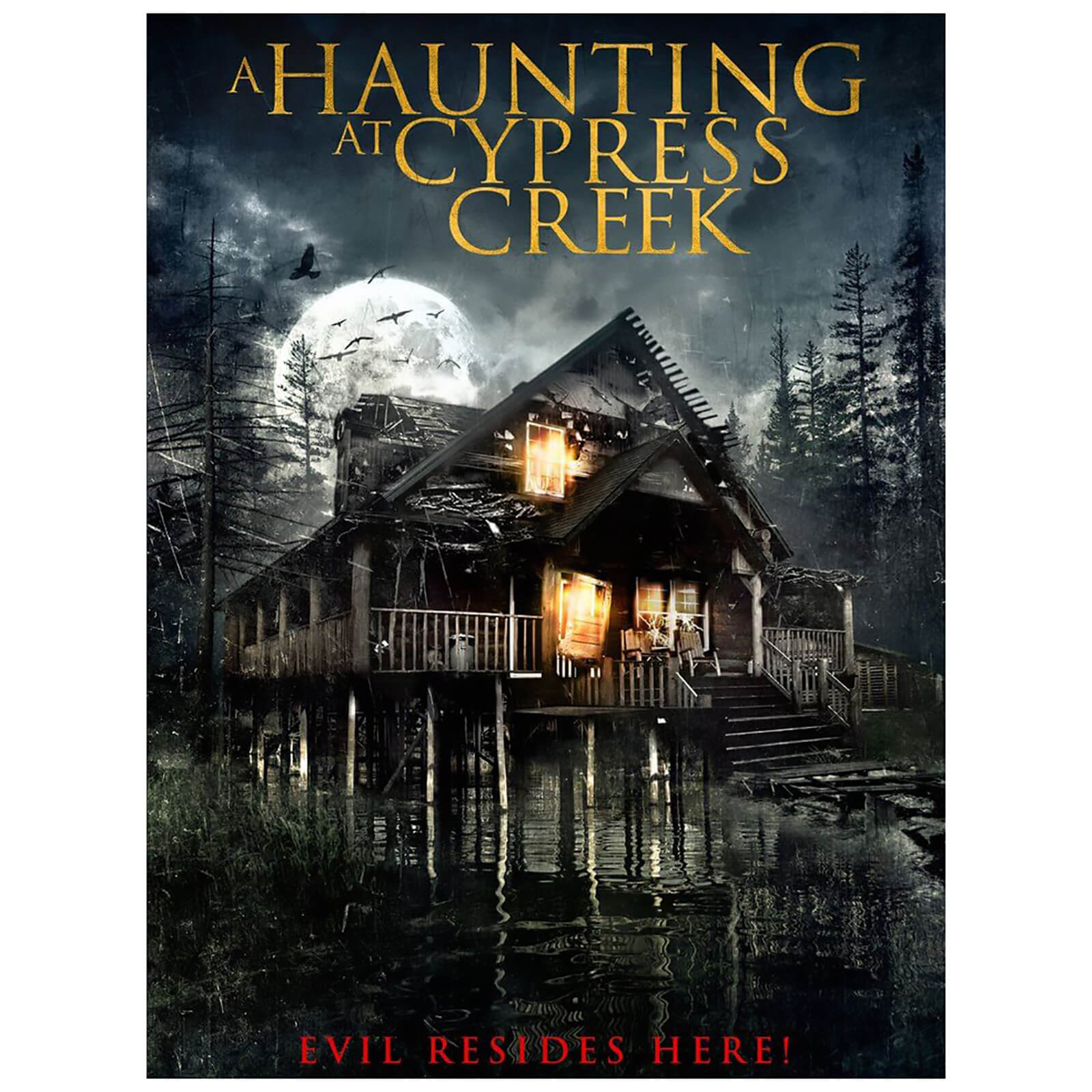 A Haunting at Cypress Creek A Haunting at Cypress Creek von New Horizon Films
