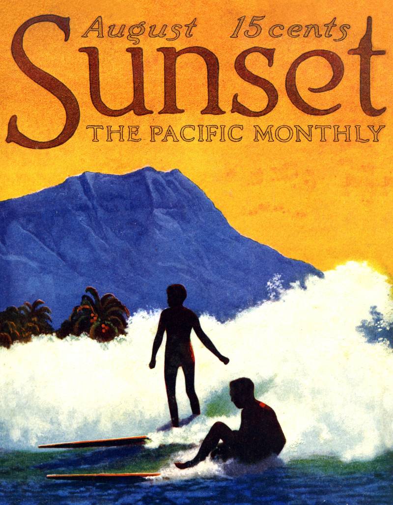 New York Puzzle Company Aloha Land 100 Teile Puzzle New-York-Puzzle-SU2009 von New York Puzzle Company