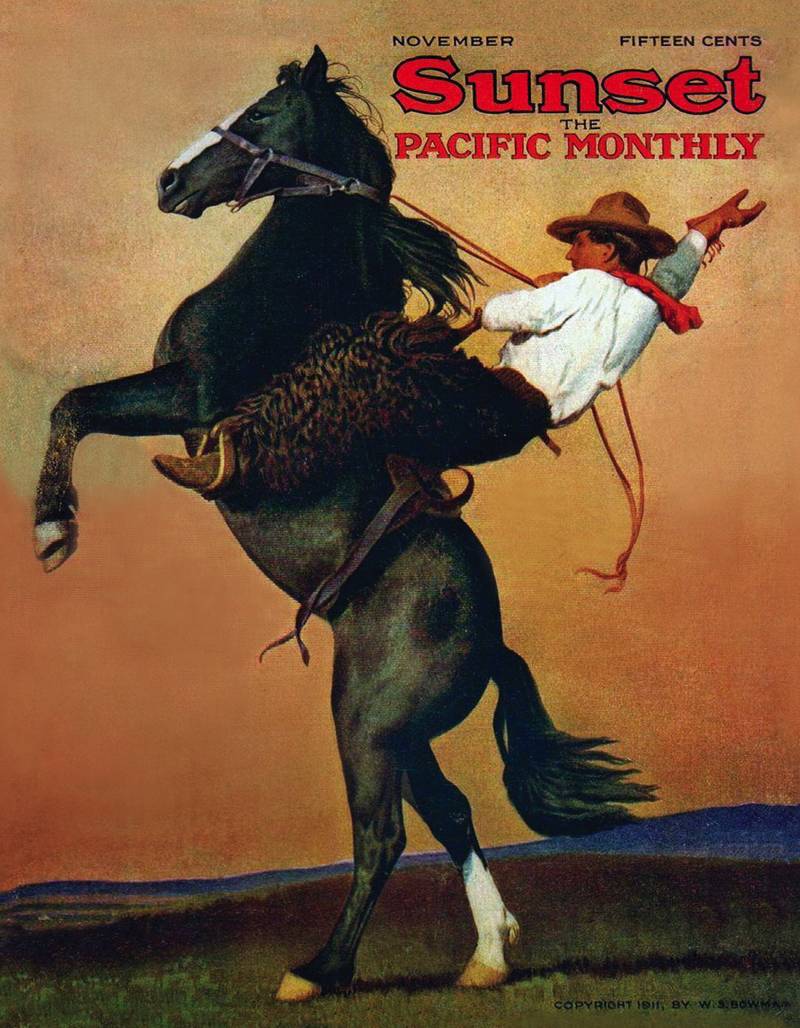 New York Puzzle Company Bucking Bronco 100 Teile Puzzle New-York-Puzzle-SU2012 von New York Puzzle Company