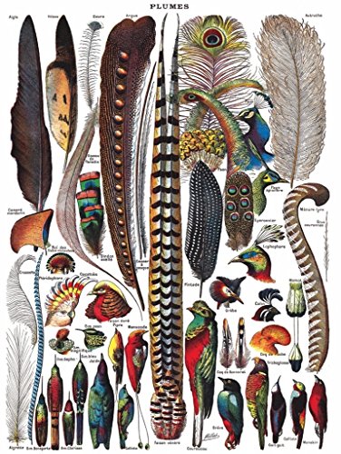 New York Puzzle Company Feathers - Plumes von New York Puzzle Company