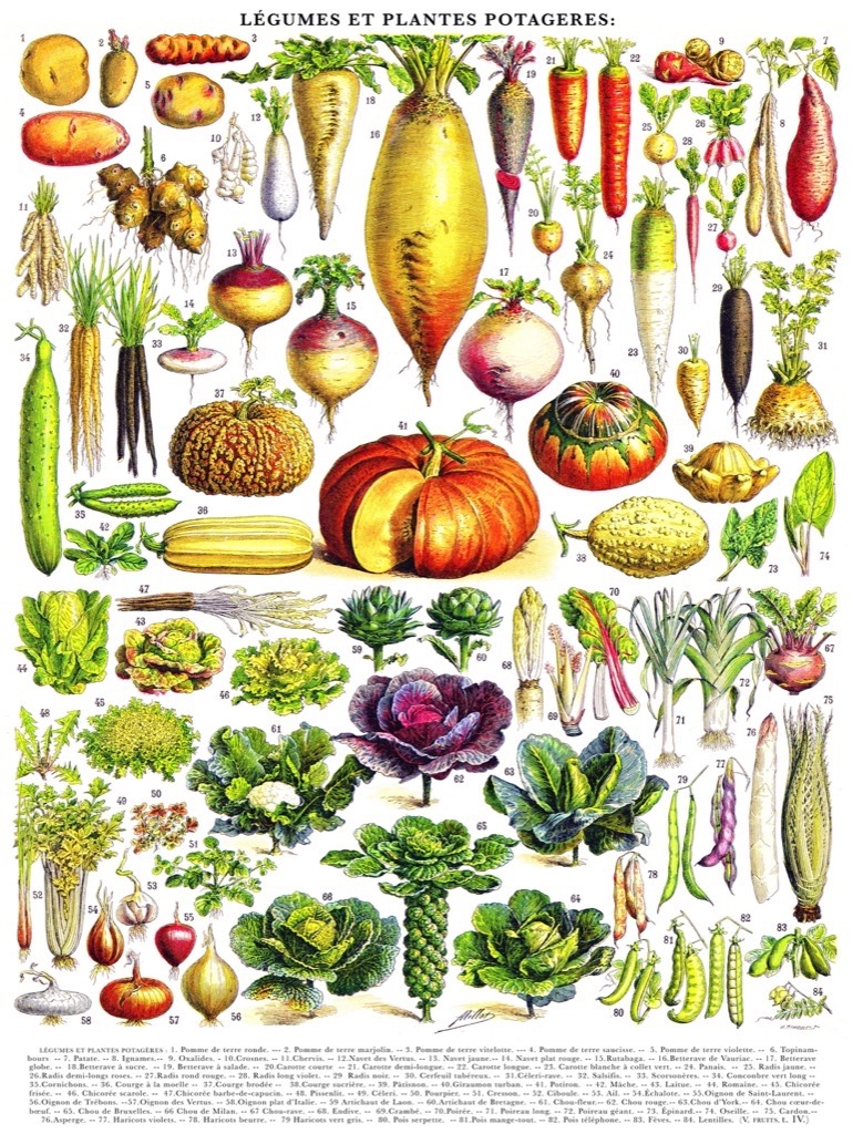 New York Puzzle Company Vegetables - Légumes 1000 Teile Puzzle New-York-Puzzle-PD635 von New York Puzzle Company