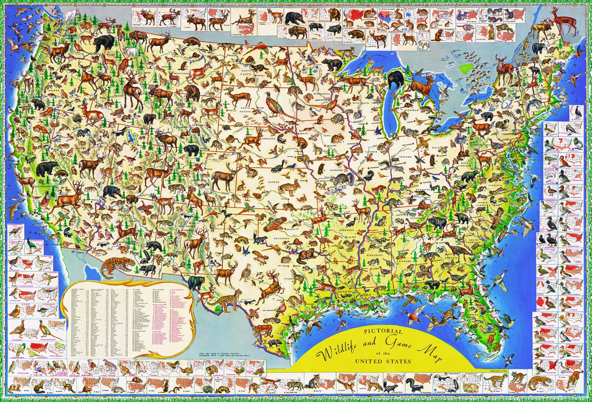 New York Puzzle Company Wildlife Map 2000 Teile Puzzle New-York-Puzzle-PD632 von New York Puzzle Company