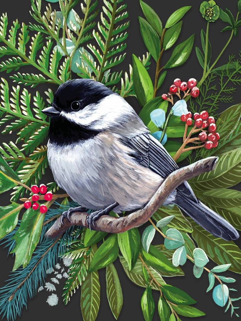 New York Puzzle Company XXL Teile - Black-capped Chickadee 500 Teile Puzzle New-York-Puzzle-CB2083 von New York Puzzle Company