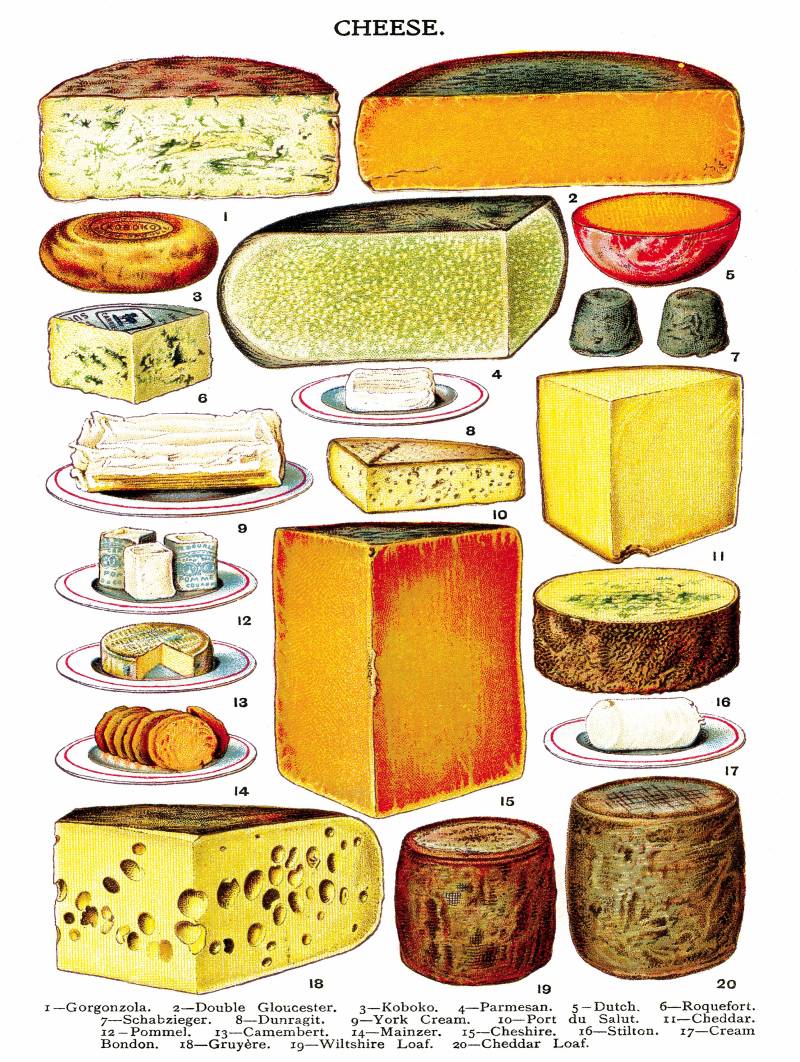 New York Puzzle Company XXL Teile - Cheese 500 Teile Puzzle New-York-Puzzle-PD2016 von New York Puzzle Company