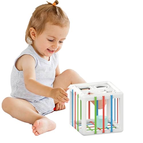Nexusectar Spielzeug Zum Sortieren Von Babyformen – Sensorisches Mülleimer-Spielzeug Mit Bällen Und Blöcken | Für Kinder Geeignet Frühe Pädagogische Kleinkinder Geburtstagsgeschenke - -Lernspielzeug Nexusectar Spielzeug Zum Sortieren Von Babyformen – Sensorisches Mülleimer-Spielzeug Mit Bällen Und Blöcken | Für Kinder Geeignet Frühe Pädagogische Kleinkinder Geburtstagsgeschenke - -Lernspielzeug von Nexusectar