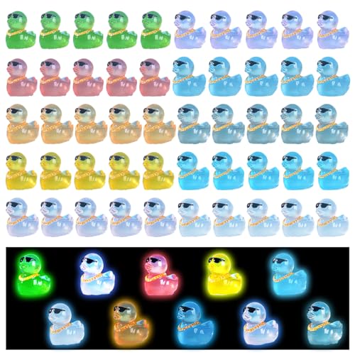 Leuchtende Mini-Enten aus Kunstharz, niedliche Mini-Enten, Miniatur-Enten-Figuren für Aquarium, Garten, Gartenparty, Puppenhaus Deracoration, DIY Handwerk (10 Farben) von Nhemeylp