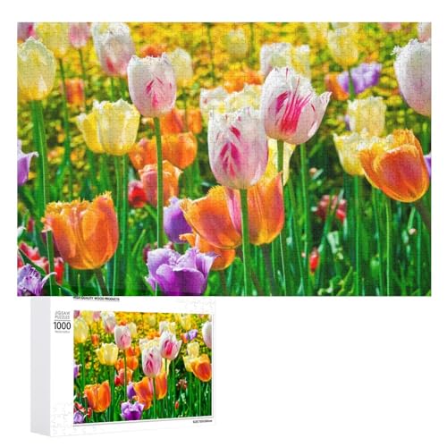 Puzzles für Erwachsene, 1000 Teile, bunte Tulpen, Blumen, Puzzle, Spaß, Familie, herausforderndes Puzzle-Spiel Puzzles für Erwachsene, 1000 Teile, bunte Tulpen, Blumen, Puzzle, Spaß, Familie, herausforderndes Puzzle-Spiel von Niapessel