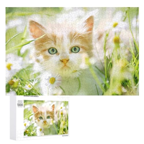 Puzzles für Erwachsene 1000 Teile, niedliche kleine Katze Jigsaw Puzzle Spaß Familie herausfordernde Puzzles Puzzlespiel Puzzles für Erwachsene 1000 Teile, niedliche kleine Katze Jigsaw Puzzle Spaß Familie herausfordernde Puzzles Puzzlespiel von Niapessel