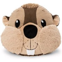 NICI 62284 - Biber Harry Woodsnacker, Kissen, Plüsch, 32x27x11cm NICI 62284 - Biber Harry Woodsnacker, Kissen, Plüsch, 32x27x11cm von Nici GmbH