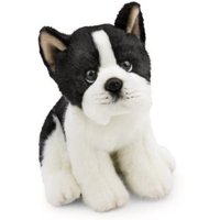 NICI 62602 - LifeLike, Boston Terrier, Plüsch, 20 cm von Nici GmbH