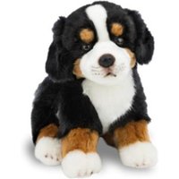 NICI 62603 - LifeLike, Berner Sennenhund, Plüsch, 20 cm NICI 62603 - LifeLike, Berner Sennenhund, Plüsch, 20 cm von Nici GmbH