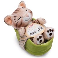 NICI 49747 Kuscheltier Sleeping Pets Bengal Katze 12cm im hellgrünen Körbchen GREEN von Nici