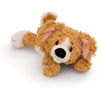 NICI 62140 Kuscheltier Hund braun 20 cm liegend GREEN von Nici