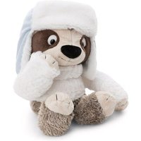 NICI 62422 Kuscheltier Faultier Izzy Icetumbler mit Mütze von Nici