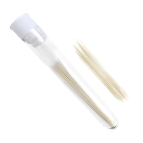 Nishiyuenyi Faux Cat Whiskers Künstliche Tierbartpuppenbärte gefüllte Spielzeugheiger für die Heimdekoration, Beige, 0.35 Mm von Nishiyuenyi