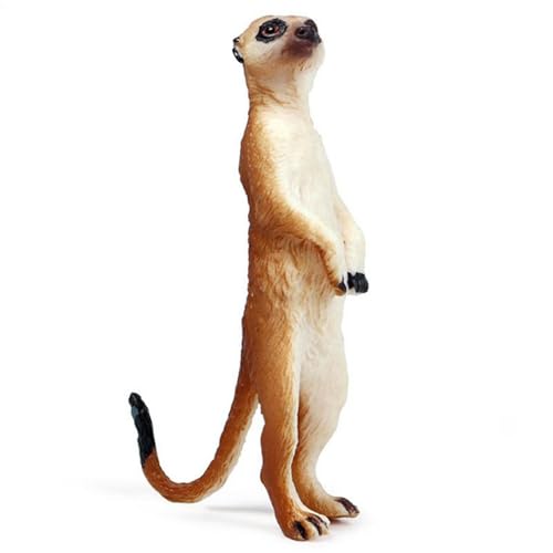 Mungo-Wild Lebensmodell, realistisches Modell der Jungtiere, für Kinder, Miniatur-Skulptur für die Wüste zum Geburtstag der Kinderkollektion PE von Nixiara