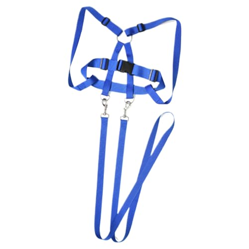 Nixiara Reitgeschirr für | Lerngeschirr für Kinder | strapazierfähige Ausrüstung für Rollenspiele im Freien – ideal für Familie und Freunde von Nixiara