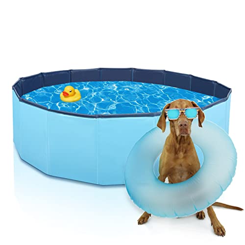 Hundepool 120 cm Schwimmbecken Für Kleine Hunde Faltbare Haustier Planschbecken Hundebadewanne Pool Für den Hund Katze Eco-Friendly PVC Swimmingpool Hundepool 120 cm Schwimmbecken Für Kleine Hunde Faltbare Haustier Planschbecken Hundebadewanne Pool Für den Hund Katze Eco-Friendly PVC Swimmingpool von Nobleza