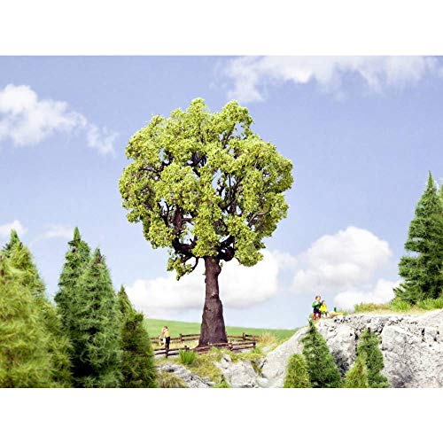 NOCH Eiche, detailgetreuer Modellbaum, 19 cm hoch für Modellbahn und Diorama in 1:87 (H0) Maßstab, perfekt für kreative Projekte von NOCH