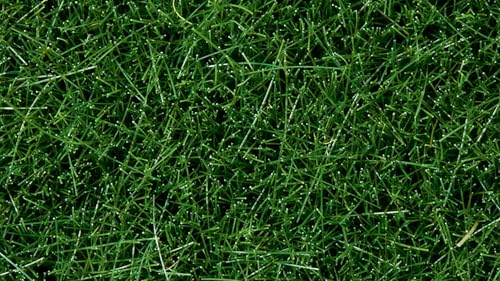 NOCH Wildgras, für Modellbau Gelände, 6 mm dunkelgrün, ideal für hohe Grasflächen und Böschungen, perfekt für Spur H0, TT, N, Z von NOCH