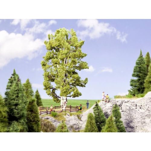 NOCH® Doppelstämmige Birke, naturrealistischer Modellbau-Baum, 19 cm hoch für die Spurweiten 0, H0 ideal für kreative Projekte von NOCH