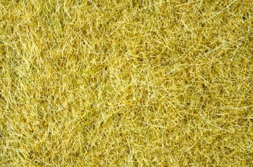 NOCH Wildgras, statisches Gras in Brauntönen, 6 mm, 100g Dose für Modellbau und Dioramen NOCH Wildgras, statisches Gras in Brauntönen, 6 mm, 100g Dose für Modellbau und Dioramen von NOCH