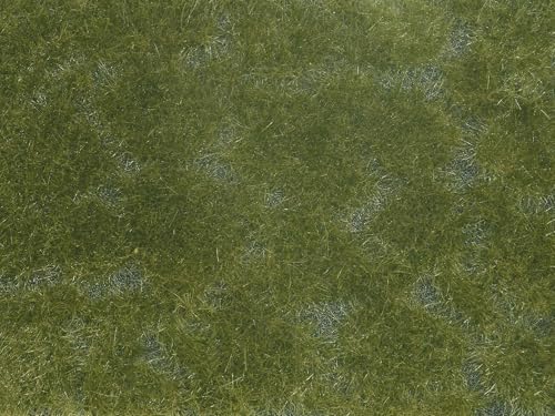 NOCH Bodendecker-Foliage dunkelgrün, Foliage für Modellbau, 12 x 18 cm für die Spurweiten H0, TT, N, Z, ideal für Felder und Wiesen NOCH Bodendecker-Foliage dunkelgrün, Foliage für Modellbau, 12 x 18 cm für die Spurweiten H0, TT, N, Z, ideal für Felder und Wiesen von NOCH