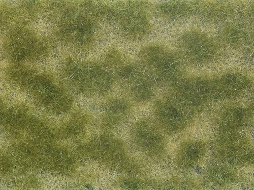 NOCH Bodendecker-Foliage, für realistische Modellgestaltung, 12 x 18 cm, passend für Spurweiten H0, TT, N, Z NOCH Bodendecker-Foliage, für realistische Modellgestaltung, 12 x 18 cm, passend für Spurweiten H0, TT, N, Z von NOCH