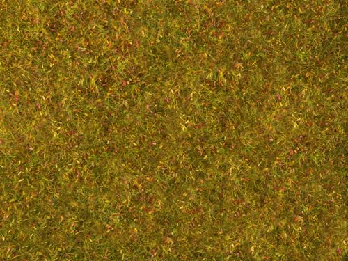 NOCH Wiesen-Foliage, mit realistischer Struktur, 20 x 23 cm ideal für Modellbau und Landschaftsgestaltung NOCH Wiesen-Foliage, mit realistischer Struktur, 20 x 23 cm ideal für Modellbau und Landschaftsgestaltung von NOCH