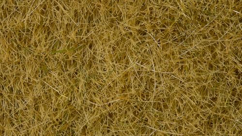 NOCH® Wildgras, statisches Gras für Modellbahn, 50 g Beutel für die Spurweiten H0, TT, N, Z ideal für Felder und Wiesen NOCH® Wildgras, statisches Gras für Modellbahn, 50 g Beutel für die Spurweiten H0, TT, N, Z ideal für Felder und Wiesen von NOCH