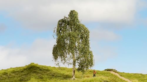 NOCH® Hängebirke, Modellbau Baum, 18 cm hoch, perfekt für Spurweiten H0, TT, N, Z sowie Dioramenbau, Basteln und DIY NOCH® Hängebirke, Modellbau Baum, 18 cm hoch, perfekt für Spurweiten H0, TT, N, Z sowie Dioramenbau, Basteln und DIY von NOCH