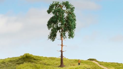 NOCH® Kiefer, mit Langen Nadeln, 18 cm hoch für die Modellbahn Spurweiten G, 0, H0, TT, N, Z und Dioramen perfekt auch für Militär- und Auto-Modellbau NOCH® Kiefer, mit Langen Nadeln, 18 cm hoch für die Modellbahn Spurweiten G, 0, H0, TT, N, Z und Dioramen perfekt auch für Militär- und Auto-Modellbau von NOCH