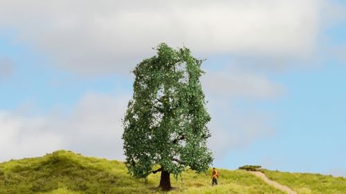 NOCH® Eiche, Modellbau Baum, handkoloriert, 15 cm hoch für alle Modelleisenbahn Spurweiten perfekt für Dioramen und Modell-Landschaftsgestaltung sowie Basteln und DIY von NOCH