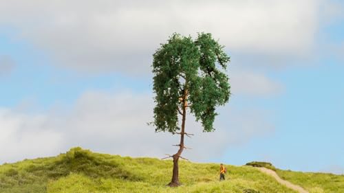 NOCH® Kiefer, detailgetreuer Modellbaum, 15 cm hoch perfekt für die Modelleisenbahn Spurweiten H0, TT, N, Z sowie zum Basteln, DIY und Wargaming NOCH® Kiefer, detailgetreuer Modellbaum, 15 cm hoch perfekt für die Modelleisenbahn Spurweiten H0, TT, N, Z sowie zum Basteln, DIY und Wargaming von NOCH