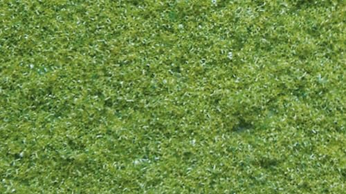 NOCH Struktur-Flock, hellgrün, fein 3 mm, 20 g, realistische Grüntöne für Modellbau und Modellbahn Landschaften von NOCH