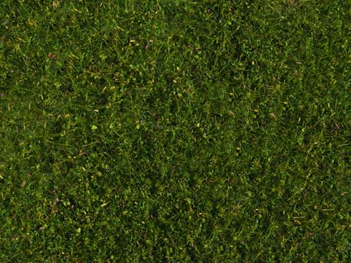 NOCH Wiesen-Foliage, Modellbau Foliage, mittelgrün 20 x 23 cm für Spurweiten H0, TT, N, Z sowie DIY und Bastelprojekte NOCH Wiesen-Foliage, Modellbau Foliage, mittelgrün 20 x 23 cm für Spurweiten H0, TT, N, Z sowie DIY und Bastelprojekte von NOCH