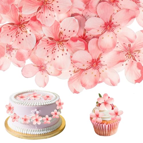 Nogeqi 50 Stück Kirschblüten Tortendeko Essbar, Blumen Esspapier Tortendeko, Rosa Essbare Blüten Torten Deko, Wafer Paper für Torten für Cupcake Topper Hochzeit Geburtstag Kuchen Deko Jubiläum Nogeqi 50 Stück Kirschblüten Tortendeko Essbar, Blumen Esspapier Tortendeko, Rosa Essbare Blüten Torten Deko, Wafer Paper für Torten für Cupcake Topper Hochzeit Geburtstag Kuchen Deko Jubiläum von Nogeqi
