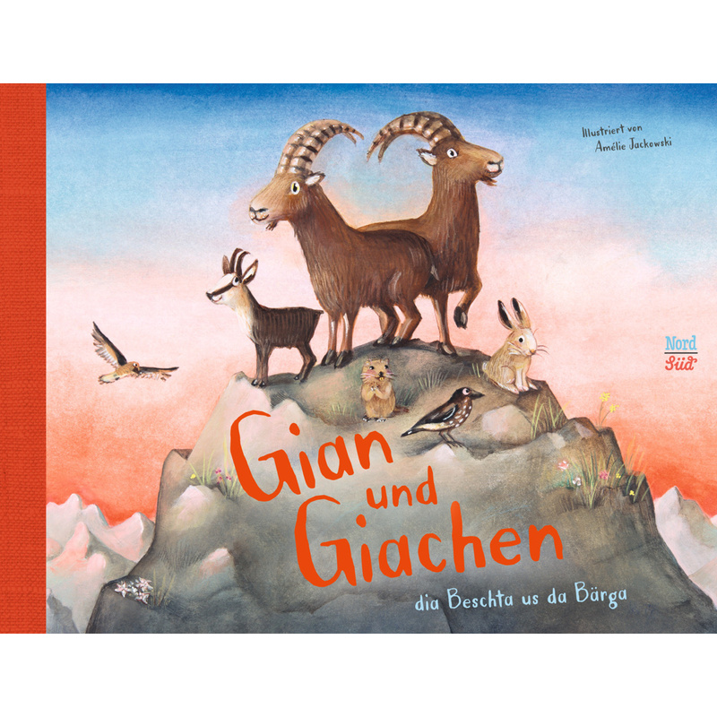 Gian und Giachen dia Beschta us da Bärga von Nord-Süd-Verlag
