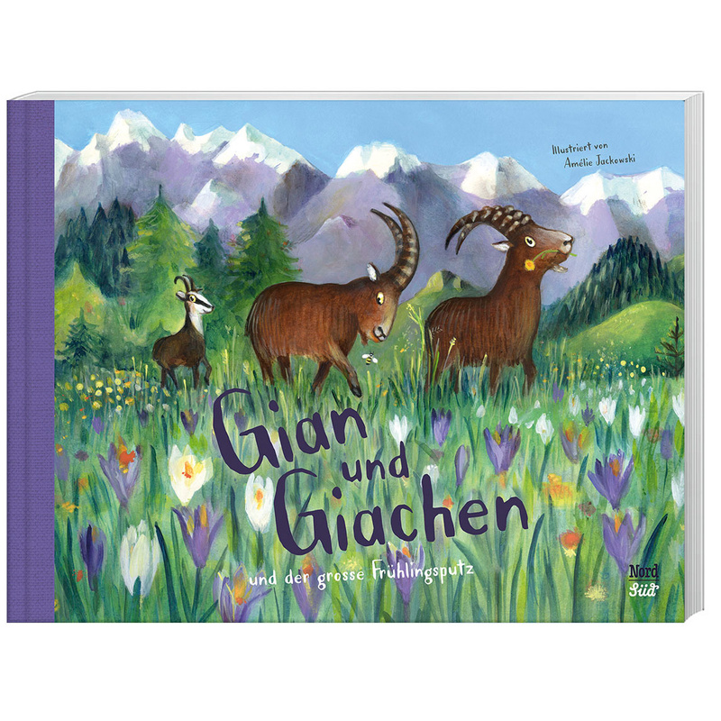 Gian und Giachen und der grosse Frühlingsputz von Nord-Süd-Verlag