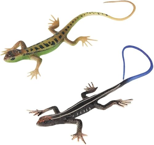 Norhogo 2Pcs Eidechse Modelle Gefälschte Eidechsen Gummitiere Eidechse Modell Spielzeug Action Figure für Kinder Erwachsene Geschenke Norhogo 2Pcs Eidechse Modelle Gefälschte Eidechsen Gummitiere Eidechse Modell Spielzeug Action Figure für Kinder Erwachsene Geschenke von Norhogo