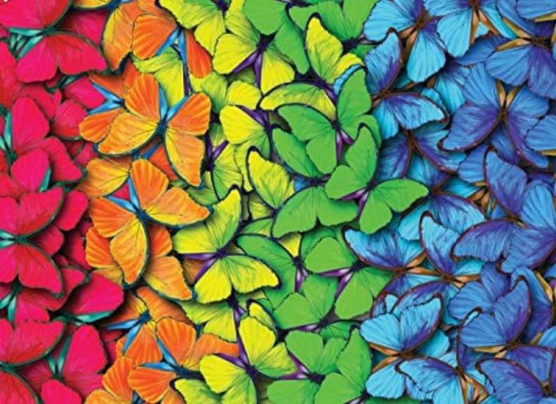 Nova Puzzle Mehrfarbige Schmetterlinge 1000 Teile Puzzle Nova-Puzzle-40509 von Nova Puzzle