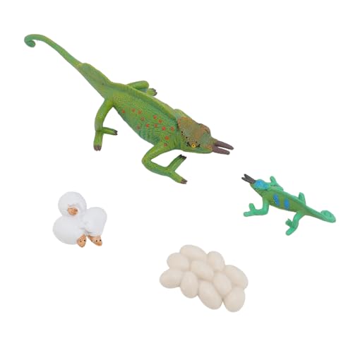 Tierlebenszyklus Modellschmuck für Kinder, Realistisches Tierwachstum Spielzeug mit Bildungswert, Ideal Klassenzimmer oder Wohnkultur, Geeignet für Langzeitspiel von Nurnesy