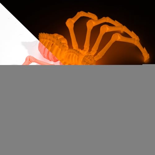 Nuyhadds 3D-gedrucktes Spinnenspielzeug, Gelenkspinne,Executive Desk Toys Riesenspinne - Schreibtischspielzeug für Erwachsene, Stressabbau, Schreibtischspielzeug, Fidget-Spielzeug für Erwachsene, Nuyhadds 3D-gedrucktes Spinnenspielzeug, Gelenkspinne,Executive Desk Toys Riesenspinne - Schreibtischspielzeug für Erwachsene, Stressabbau, Schreibtischspielzeug, Fidget-Spielzeug für Erwachsene, von Nuyhadds
