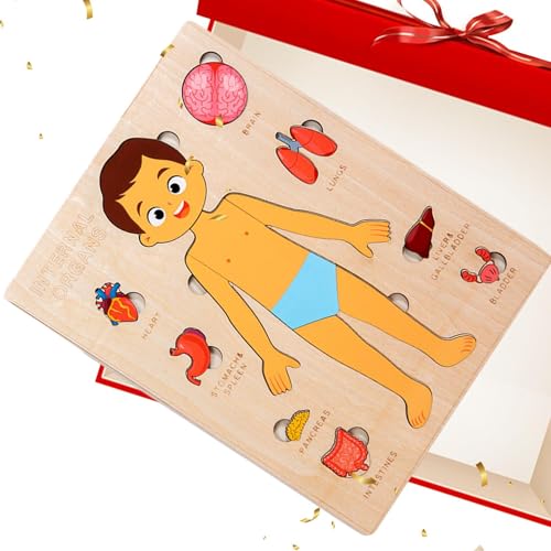 Anatomy Puzzle for Kids, Educational Science Toy, Wooden Interactive Model, Layered Human Body Design, Durable Learning Aid, Full Set for Classroom, Travel, Home, Teaching Use, 8.98x7.09x0.39 Inches von Nuyhgtr