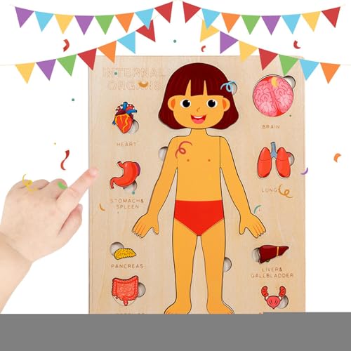 Anatomy Puzzle for Kids, Educational Science Toy, Wooden Interactive Model, Layered Human Body Design, Durable Learning Aid, Full Set for Classroom, Travel, Home, Teaching Use, 8.98x7.09x0.39 Inches Anatomy Puzzle for Kids, Educational Science Toy, Wooden Interactive Model, Layered Human Body Design, Durable Learning Aid, Full Set for Classroom, Travel, Home, Teaching Use, 8.98x7.09x0.39 Inches von Nuyhgtr