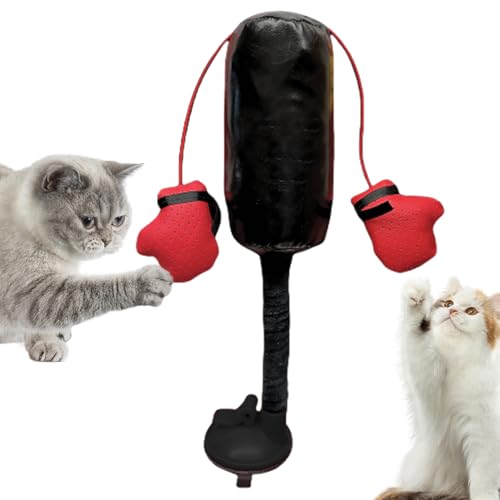 Nuyhgtr Interaktives Katzenspielzeug, Boxsackspielzeug, Kätzchenspielzeug mit Handschuhen, Boxsack Kätzchen, Haustierübungsspielzeug, Langeweile Linderung Spielzeug, Kreatives Katzenspielzeug für Nuyhgtr Interaktives Katzenspielzeug, Boxsackspielzeug, Kätzchenspielzeug mit Handschuhen, Boxsack Kätzchen, Haustierübungsspielzeug, Langeweile Linderung Spielzeug, Kreatives Katzenspielzeug für von Nuyhgtr