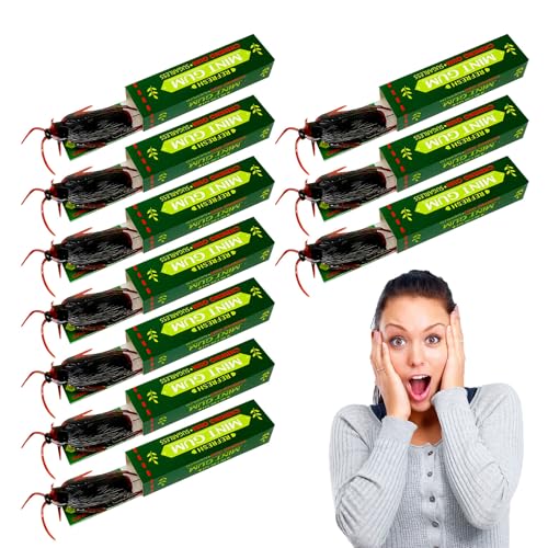 Kaugummi - 10 Stücke Kakerlaken Streich für Kinder | Realistisches Lustiges Spielzeug für Erwachsene Kinder Geburtstag Weihnachten Halloween Aprilscherz von Nuytghr