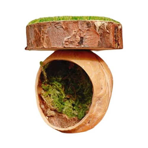Springende Spinne, magnetisches Versteck für Reptilien, 4 x 6 cm, Amphibien, Mantis, Vogelspinnen, kleine Haustiergehege, natürliches und beruhigendes Umweltzubehör von Nuytghr